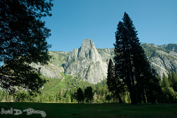 Meadow and rock faces