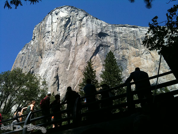 Watching the King Swing on El Capitan