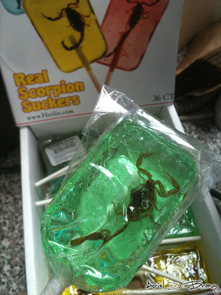 Scorpion suckers Scorpion suckers