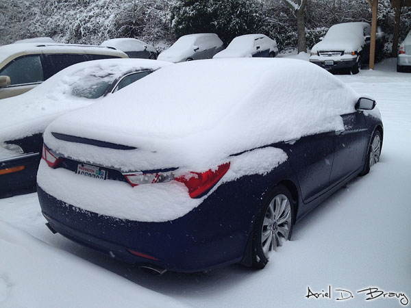 My car Thursday, once freezing rain had fallen too My car Thursday, once freezing rain had fallen too