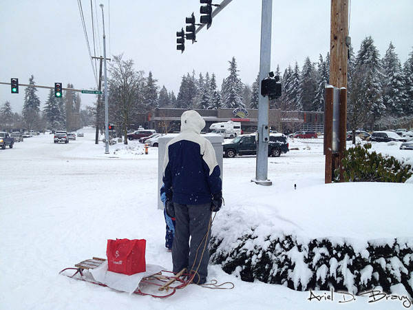 Sled with supplies coming back from the grocery store Sled with supplies coming back from the grocery store