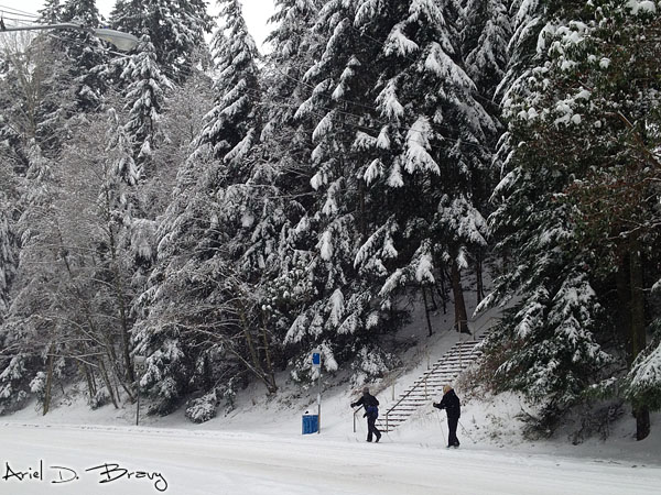 The skiers cross country skiing down the sidewalk The skiers cross country skiing down the sidewalk