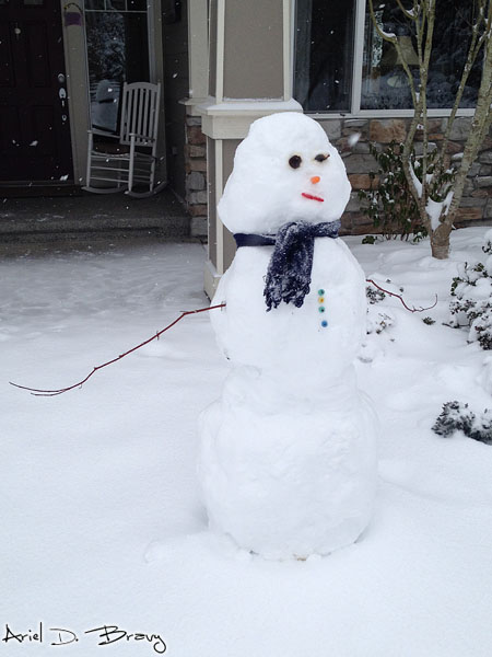 This snowman even has buttons and arms This snowman even has buttons and arms